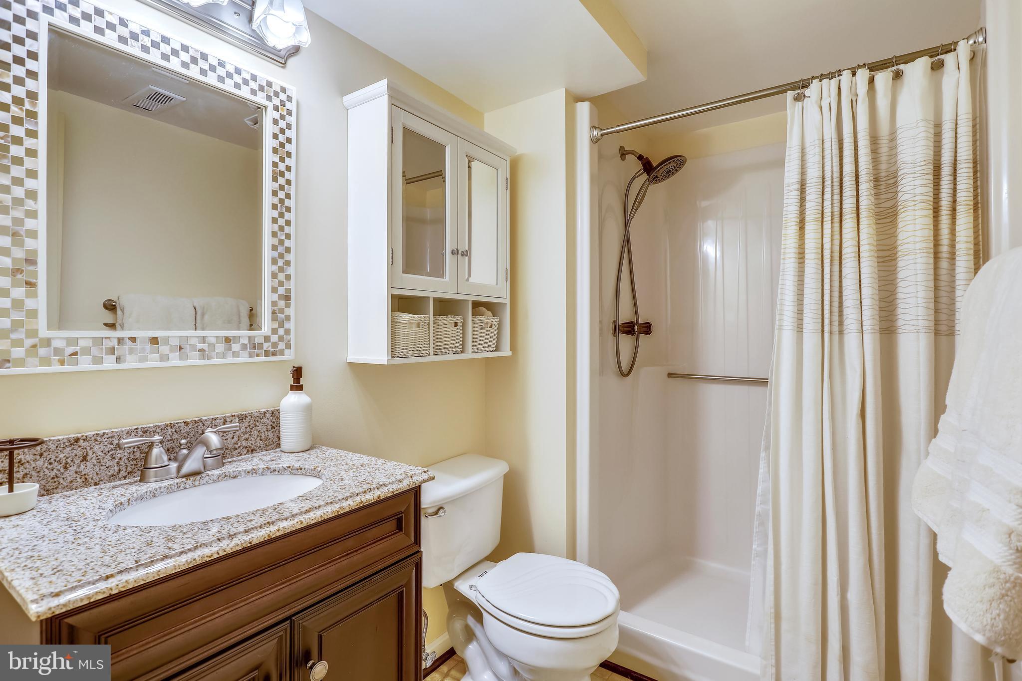10424 Carlyn Ridge Road Damascus, MD 20872 - Photo 23 of 45 Great looking 3rd Full Bath