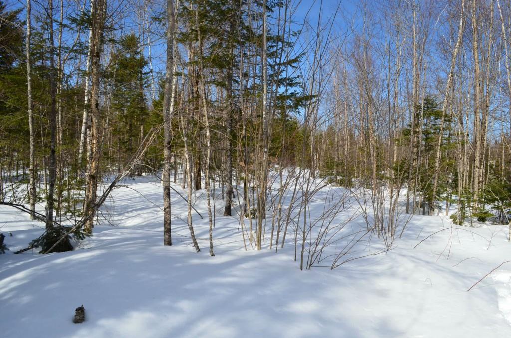 0 Butterfield Ridge Road Lincoln, ME 04457 - Photo 8 of 21 Land