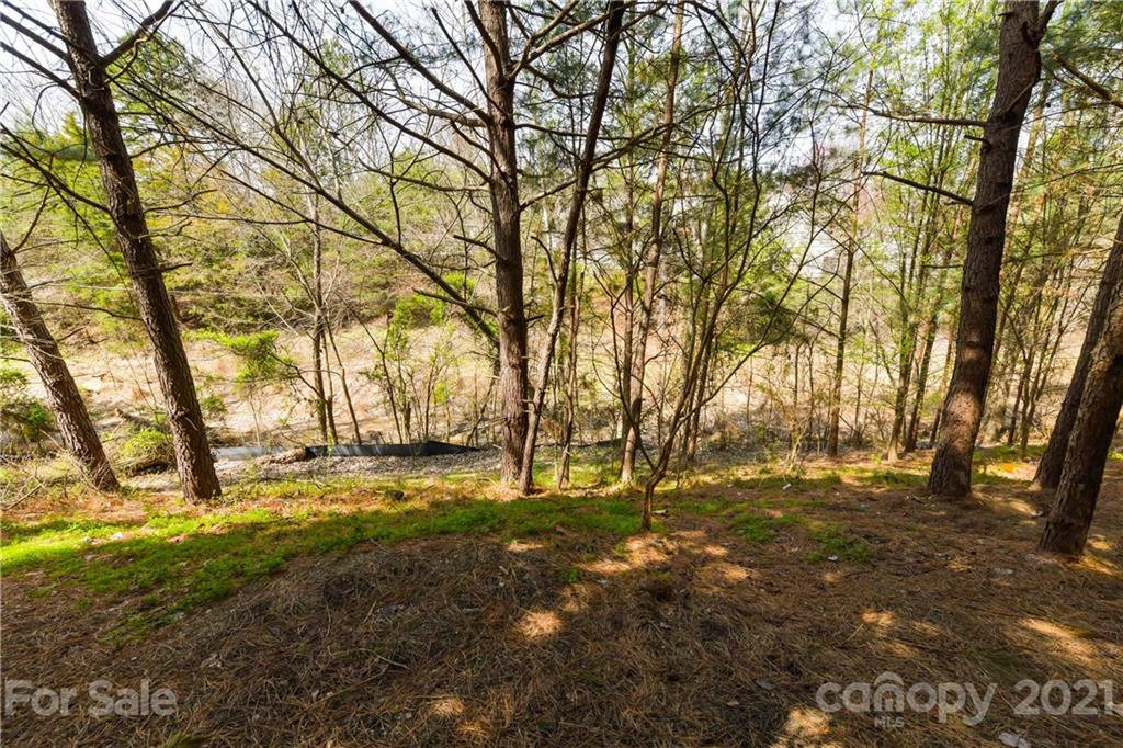 520 Red Oak Court Tega Cay, SC 29708 - Photo 5 of 28 Gallery Image 5