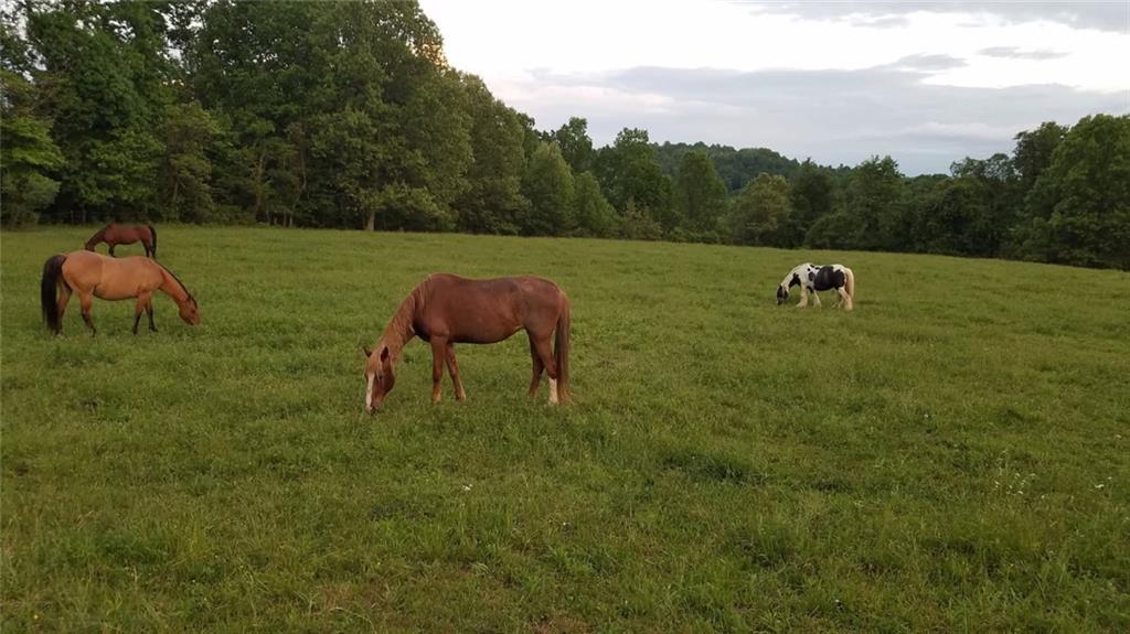 294 Sprankle Road Punxsutawney, PA 15767 - Photo 19 of 28 a backyard of a house with table and chairs