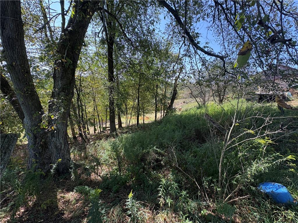 294 Sprankle Road Punxsutawney, PA 15767 - Photo 21 of 28 a view of forest