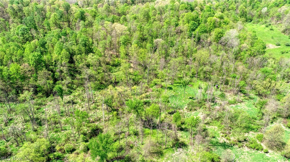 6820 Crane Run Road Cumberland, OH 43732 - Photo 8 of 17