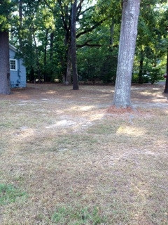 209 South Fox Hall Road Pearl, MS 39208 - Photo 2 of 13 Photo 2