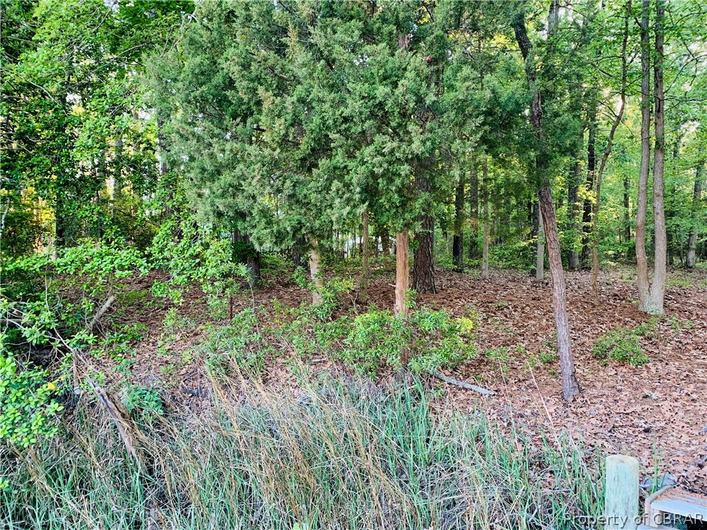 0 Sloop Creek Rd Port Port Haywood, VA 23138 - Photo 16 of 19