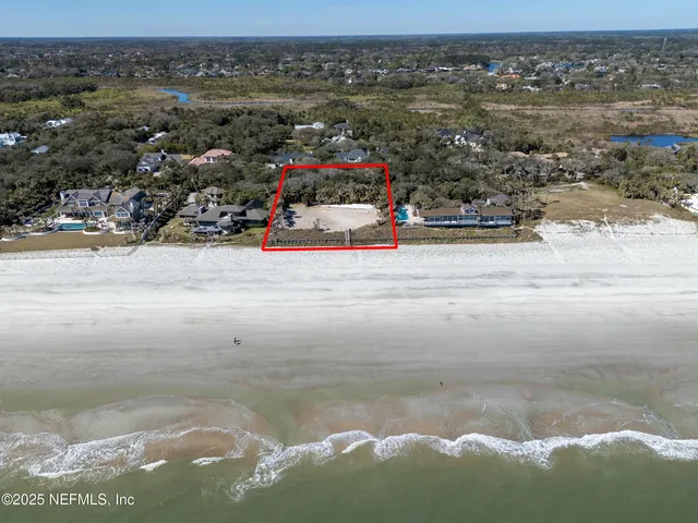 a view of city and flowers