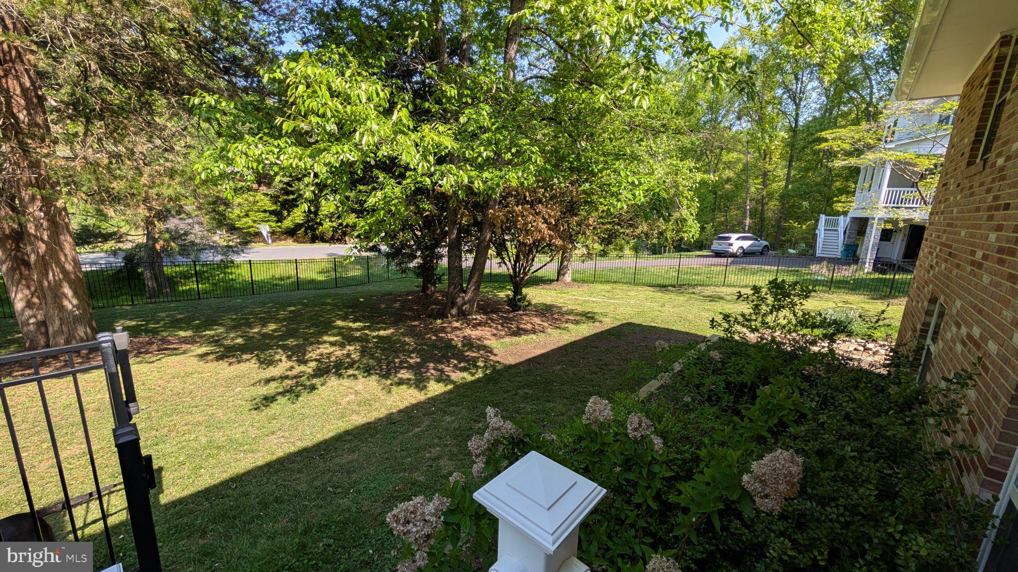 15715 Tierra Drive Silver Spring, MD 20906 - Photo 6 of 40 Lush green yard with vibrant trees.