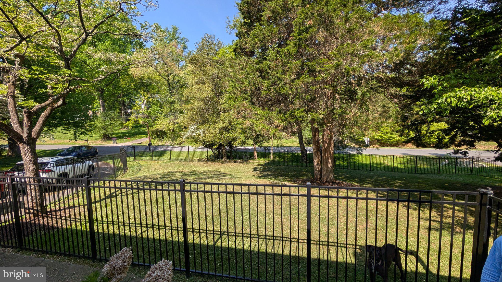 15715 Tierra Drive Silver Spring, MD 20906 - Photo 7 of 40 Spacious yard with lush greenery.