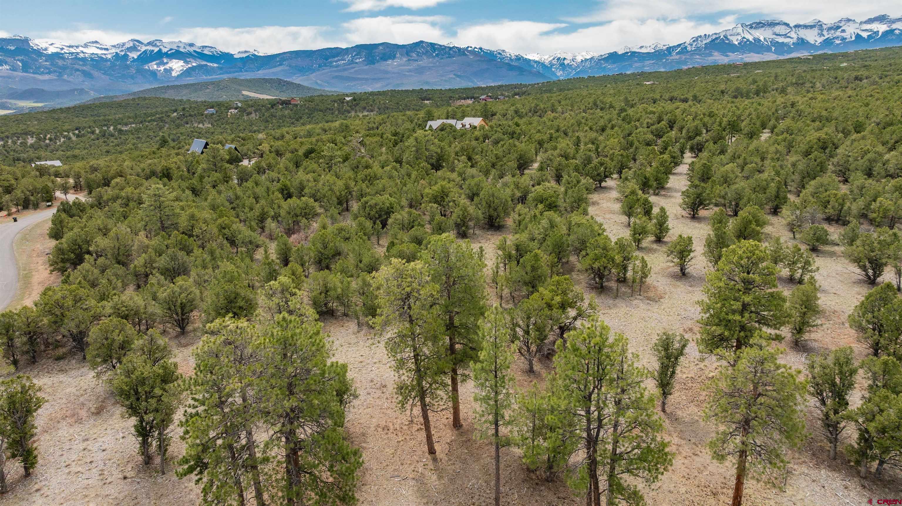 Lot 6 Waterview Court Ridgway, CO 81432 - Photo 27 of 39 a view of a forest with mountains in the background