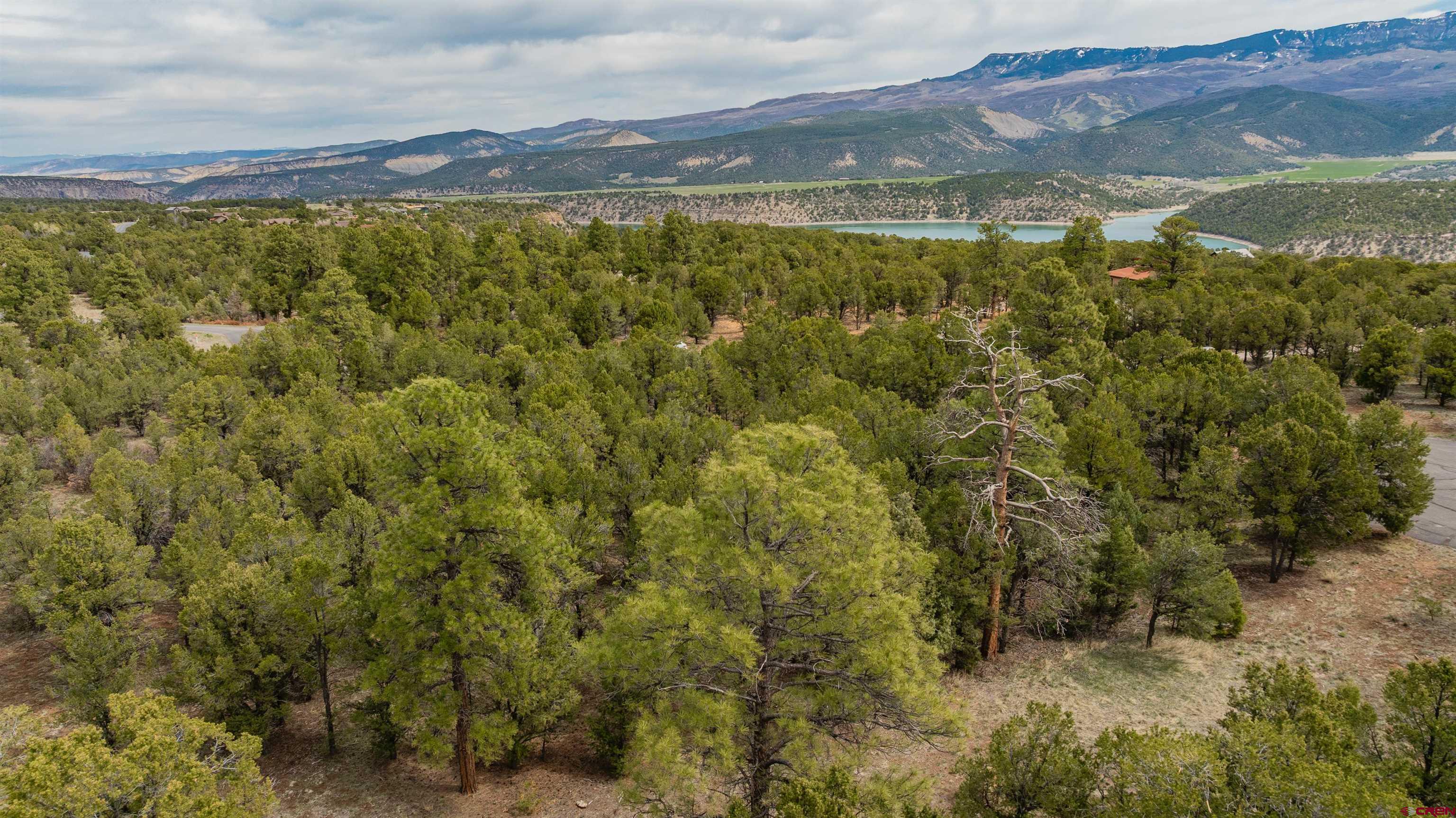 Lot 6 Waterview Court Ridgway, CO 81432 - Photo 35 of 39 a view of a city with mountains in the background