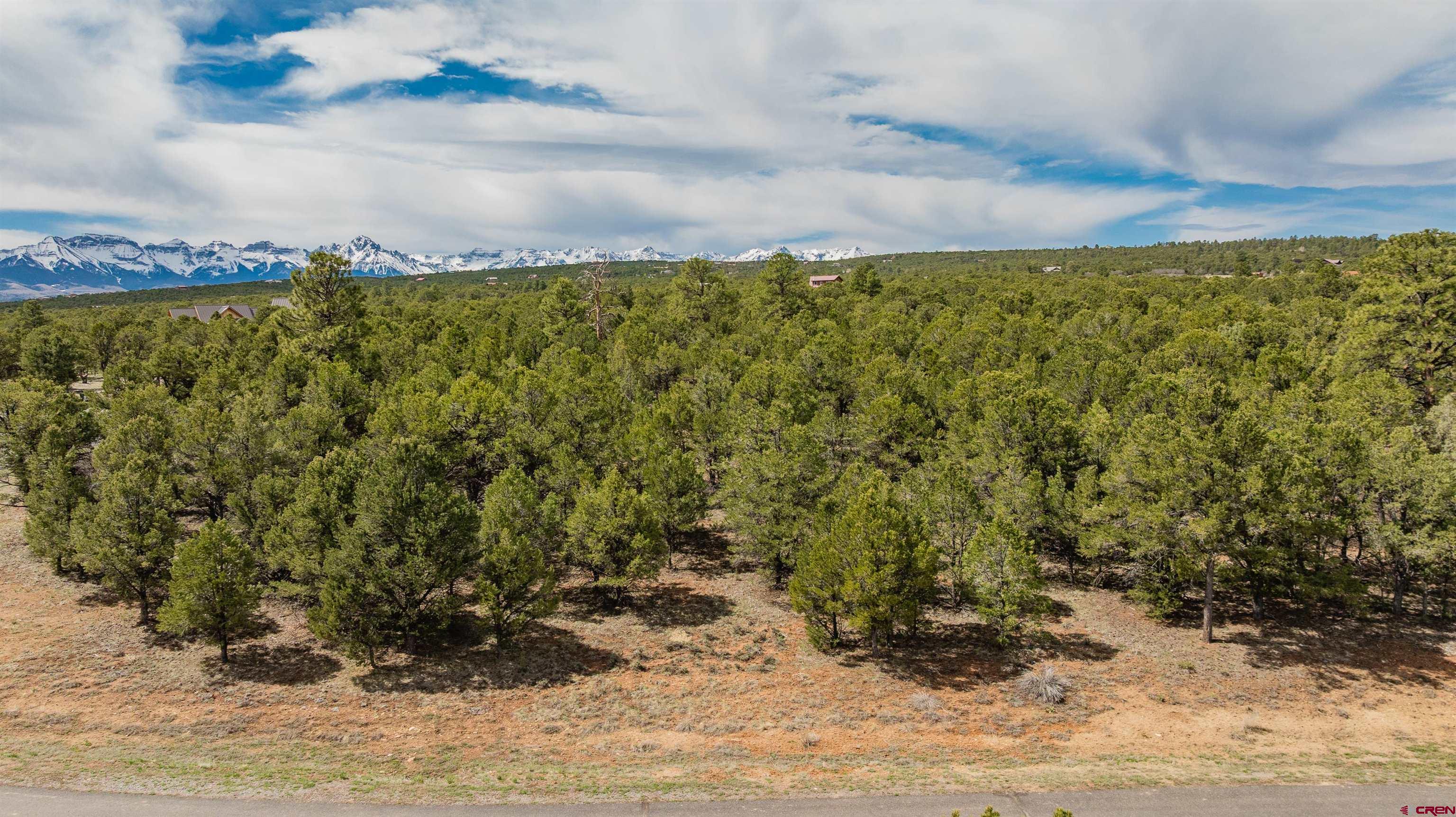 Lot 6 Waterview Court Ridgway, CO 81432 - Photo 4 of 39