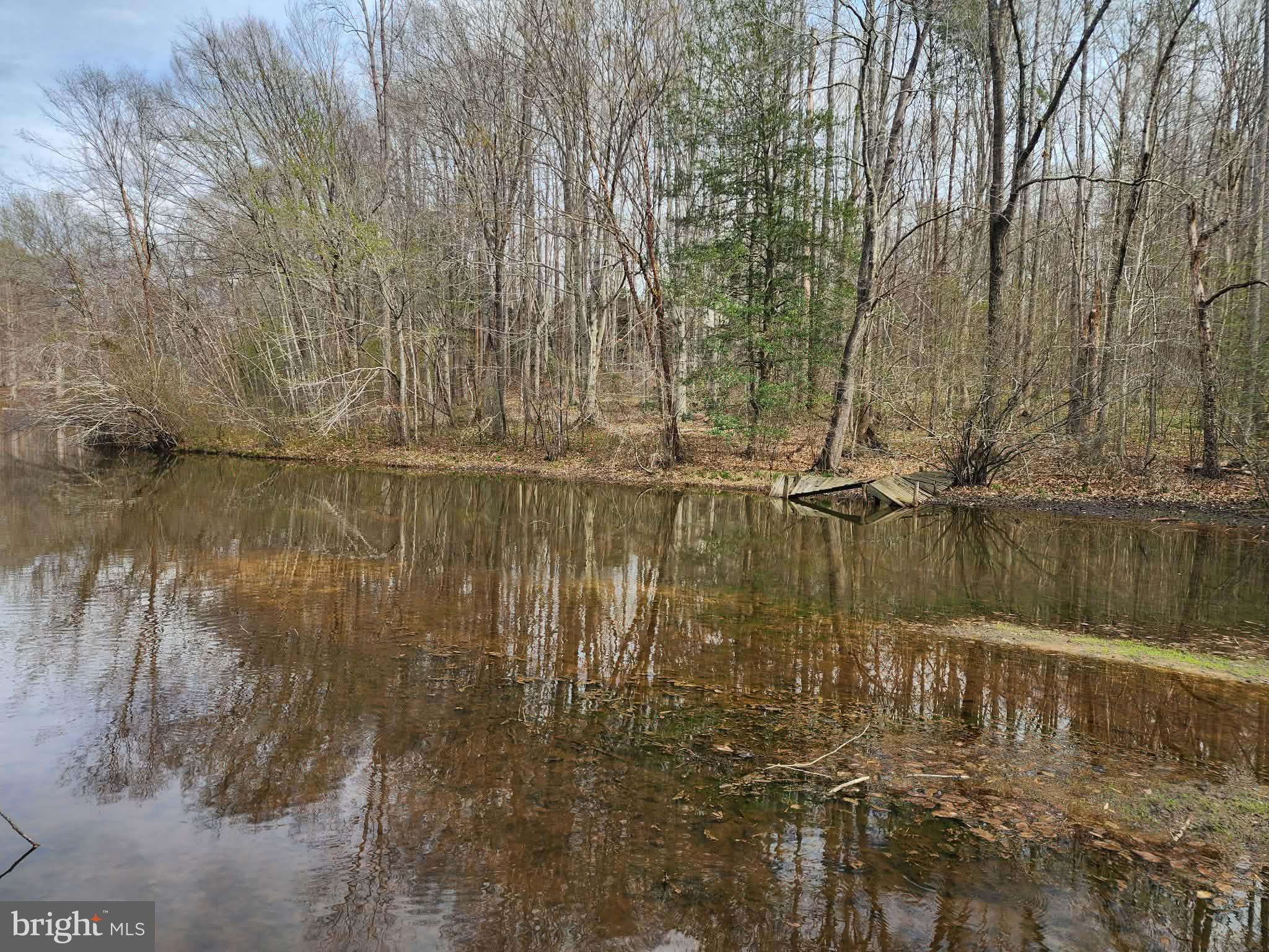 7531 Scotts Farm Road Spotsylvania, VA 22553 - Photo 4 of 7 View of Pond Frontage from Neighboring Lot