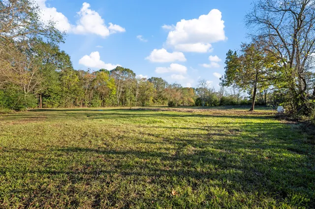 a view of a field with an trees