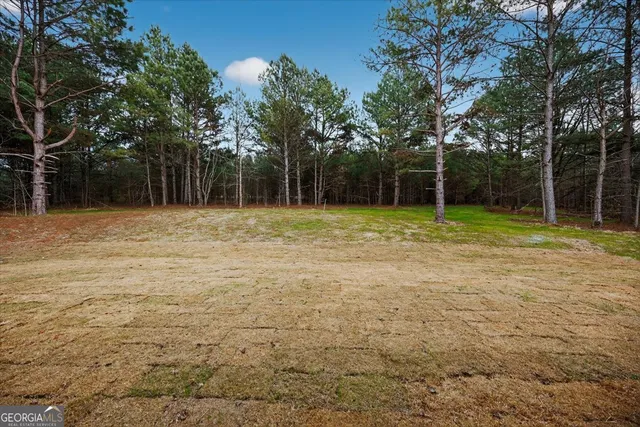 a house that has a tree in front of it