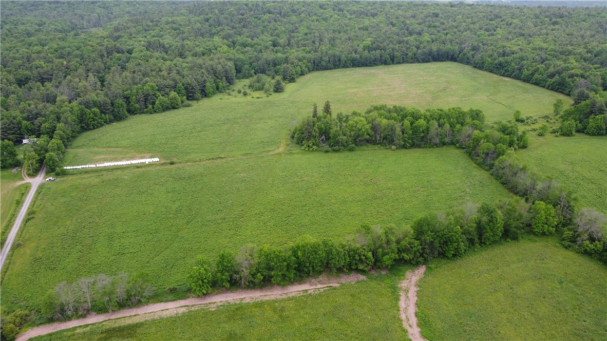 127 White Store Road Norwich, NY 13815 - Photo 4 of 8