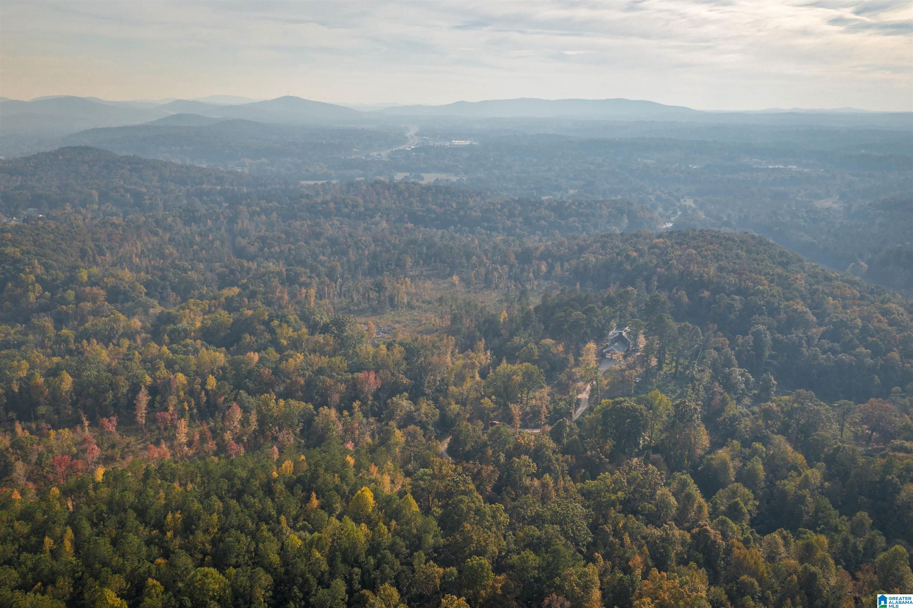 201 Cave Hill Road Weaver, AL 36277 - Photo 75 of 78