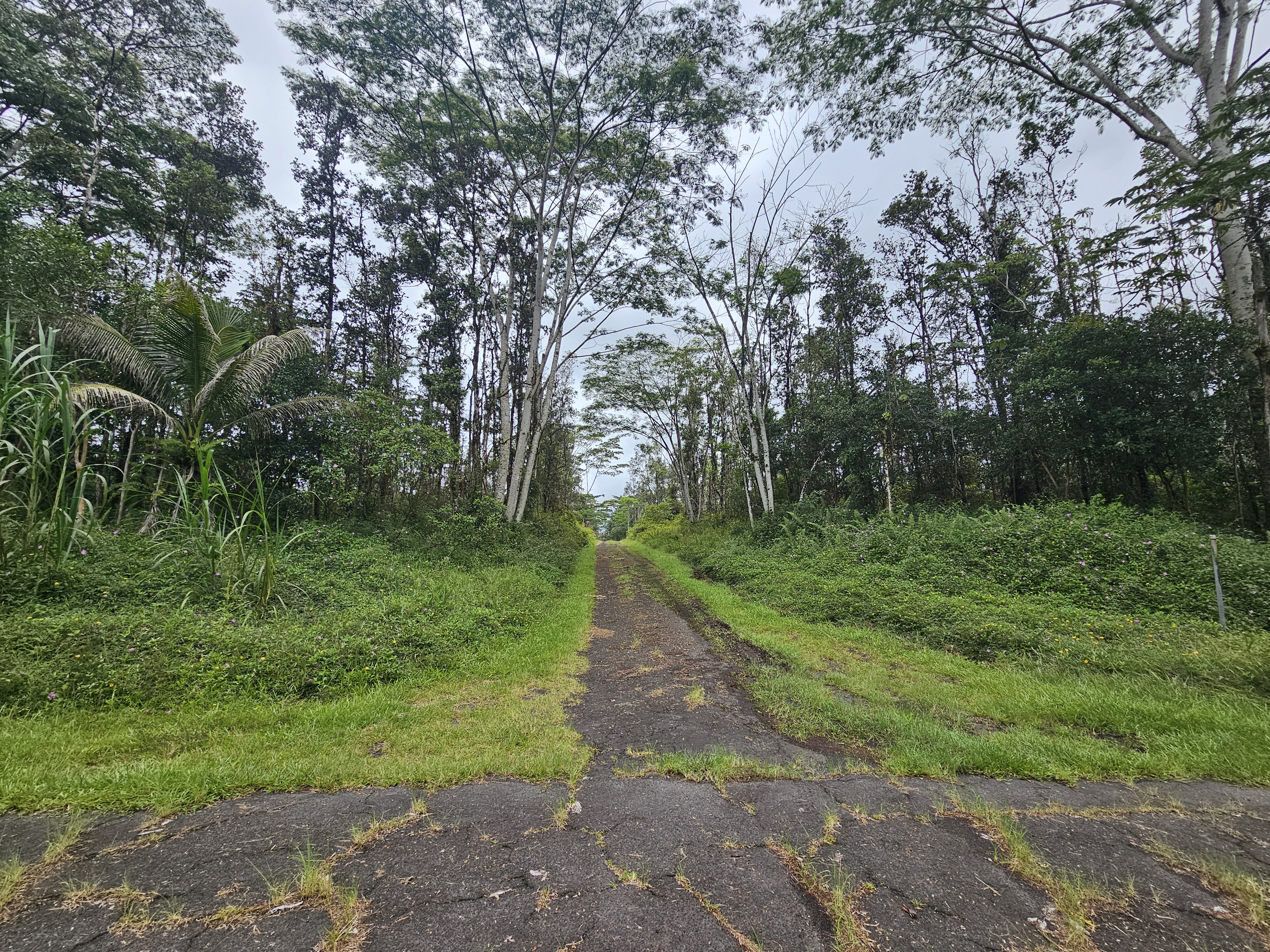 247 Pahoa Road Pahoa, HI 96778 - Photo 8 of 11