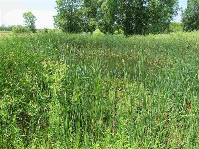 4301 North White Hawk Drive Appleton, WI 54913 - Photo 3 of 4