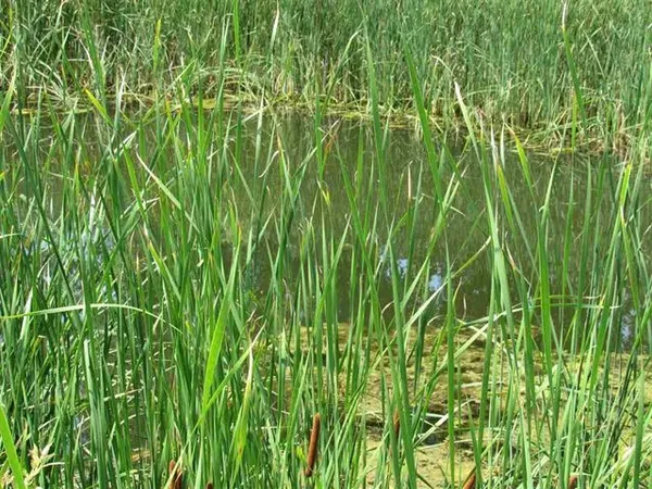 $99,900 | 4301 North White Hawk Drive, Appleton, WI 54913