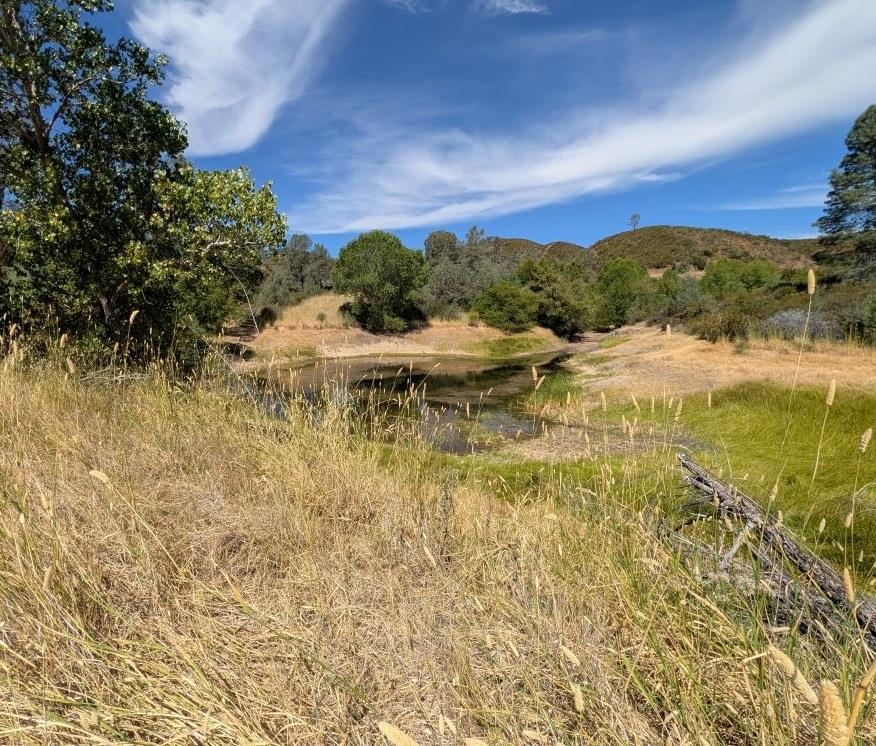 0 Colyear Springs Road Red Bluff, CA 96080 - Photo 7 of 18
