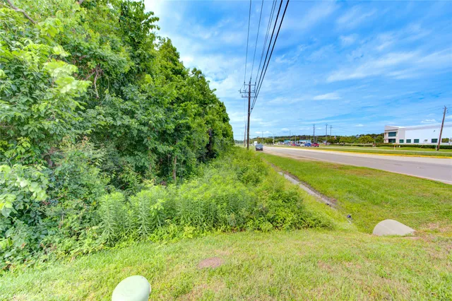 a view of a green field with plants in front of it