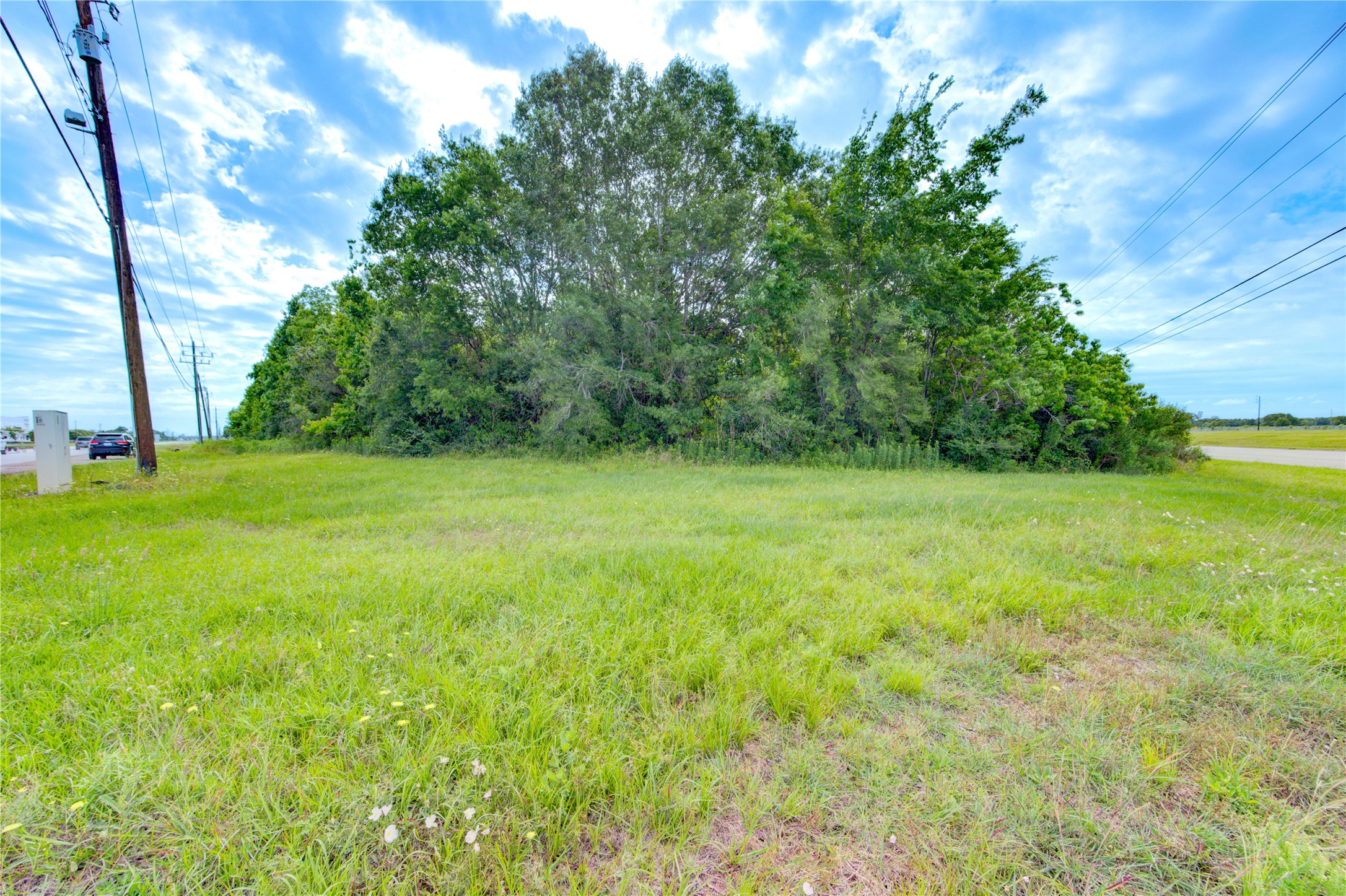 0 Red Bluff Road Pasadena, TX 77507 - Photo 10 of 10 a view of a green field with plants in front of it