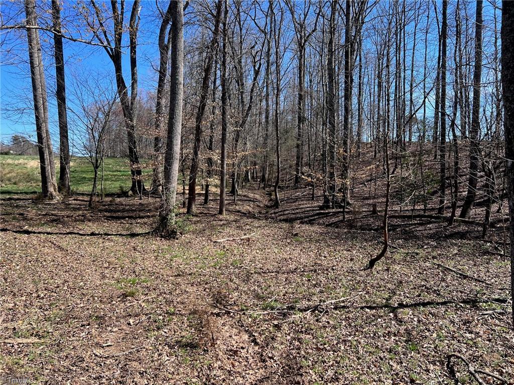 600 Roberts Road Eden, NC 27288 - Photo 11 of 49