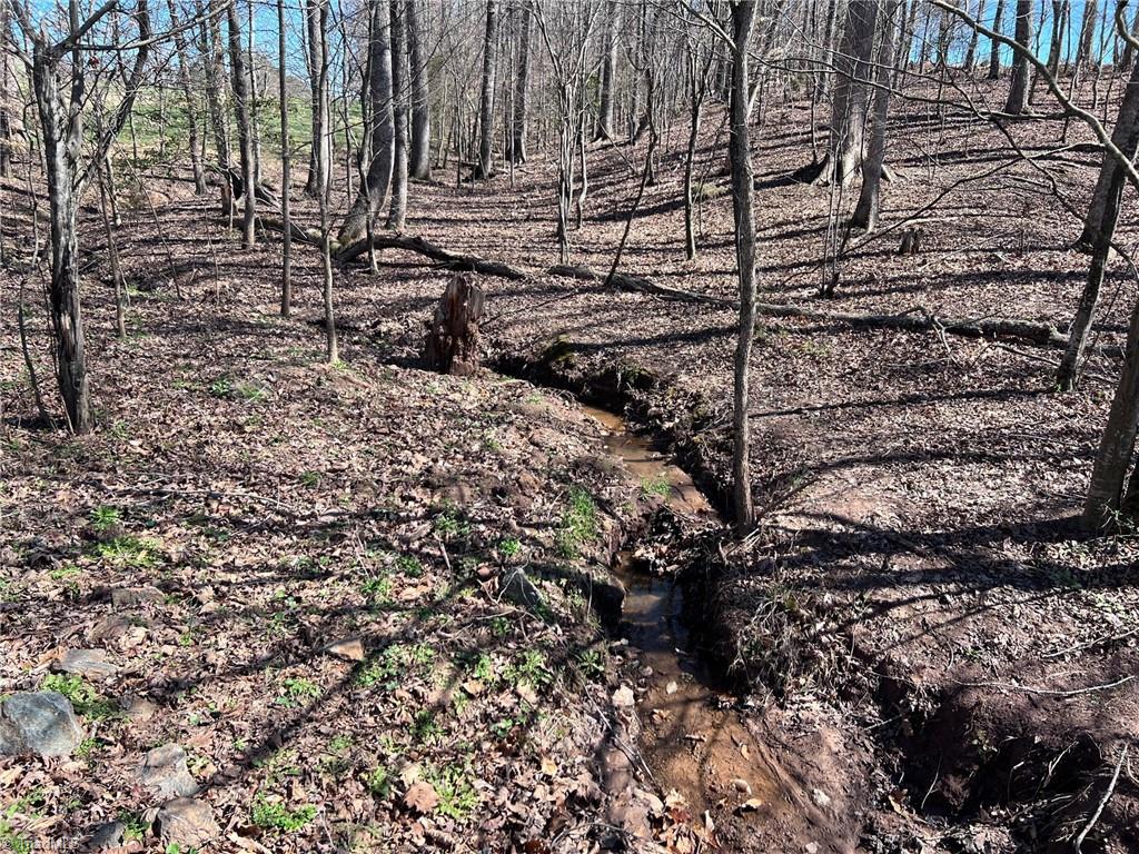 600 Roberts Road Eden, NC 27288 - Photo 12 of 49