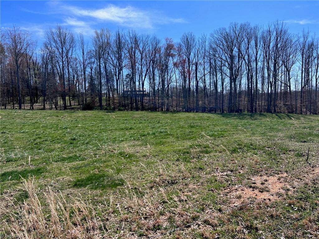 600 Roberts Road Eden, NC 27288 - Photo 13 of 49