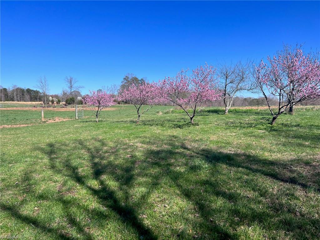 600 Roberts Road Eden, NC 27288 - Photo 29 of 49