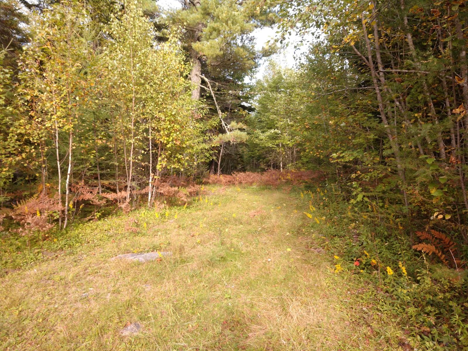 639 Golding Road Perry, ME 04667 - Photo 2 of 8 IMG_20190926_155131608