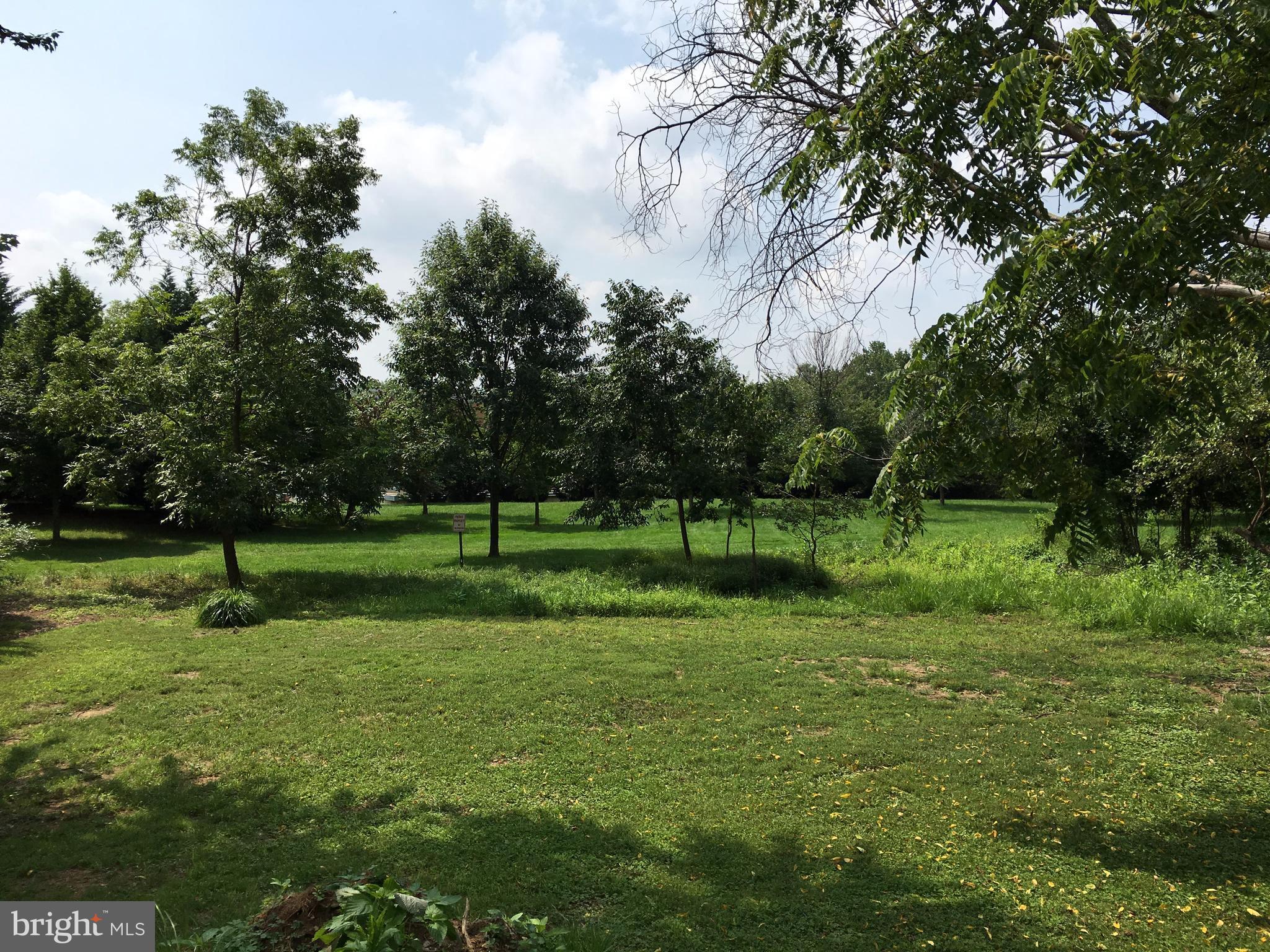 10226 Parkman Road Silver Spring, MD 20903 - Photo 28 of 30 VIEW OF BACKYARD