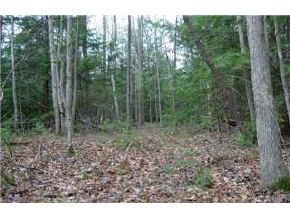 Lot43 Bolton Road Winchester, NH 03470 - Photo 3 of 3