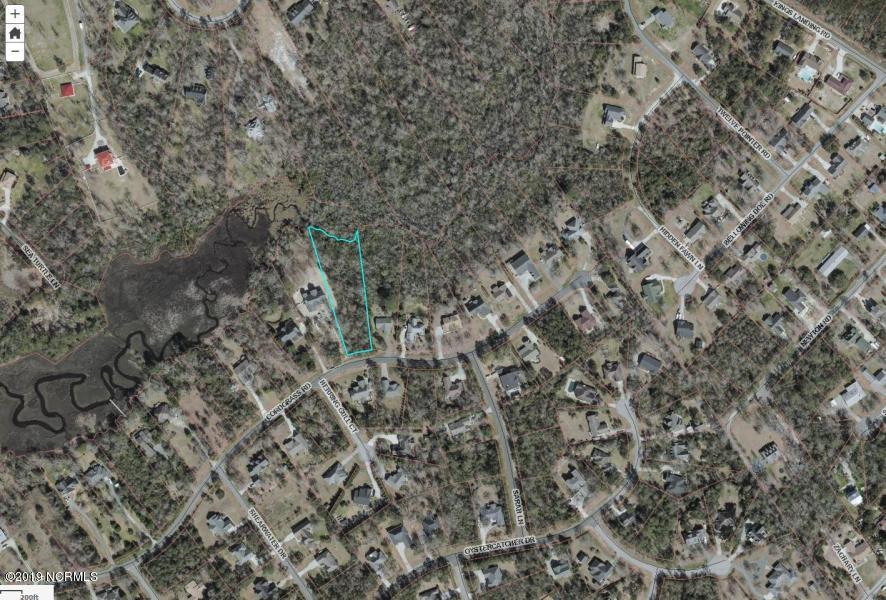 1016 Cordgrass Road Hampstead, NC 28443 - Photo 4 of 15 cordgrass lot 71