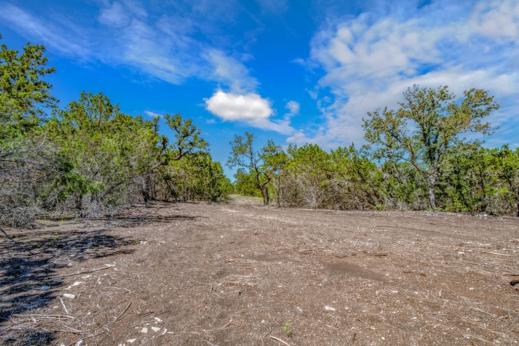 16 Bonita View Ranch Road, Unit 16 Harper, TX 78631 - Photo 5 of 7