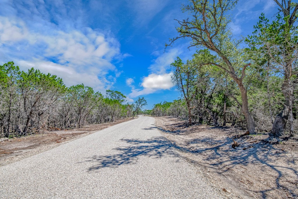 16 Bonita View Ranch Road, Unit 16 Harper, TX 78631 - Photo 6 of 7