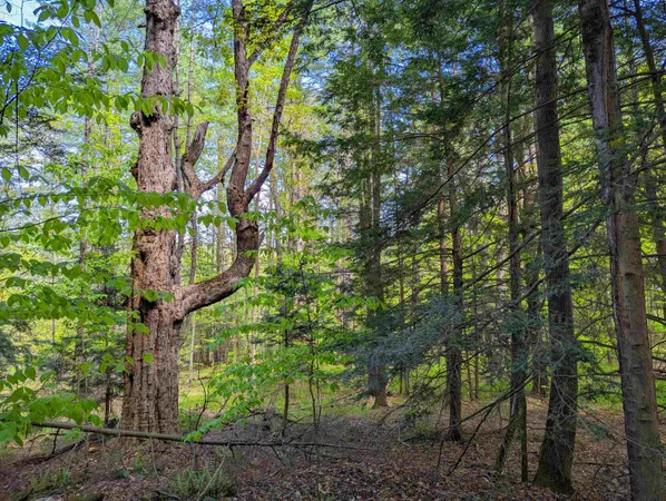 $36,999 | 14 Brickyard Road, Dover, VT 05341