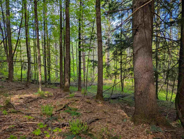 $36,999 | 14 Brickyard Road, Dover, VT 05341