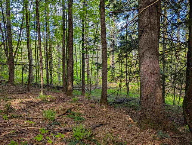 $39,999 | 14 Brickyard Road, Dover, VT 05341