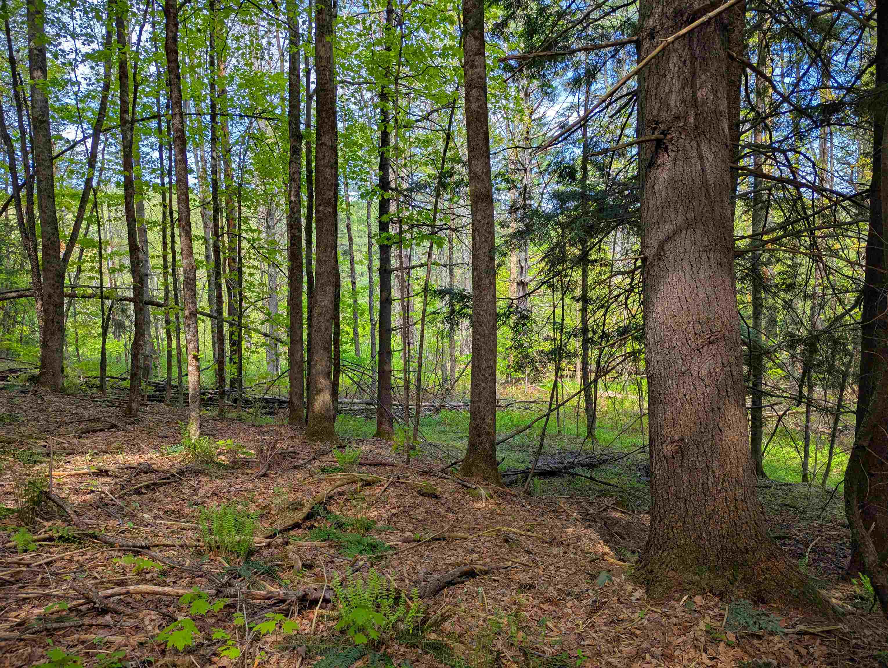 14 Brickyard Road Dover, VT 05341 - Photo 12 of 12