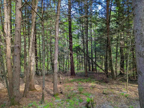 $36,999 | 14 Brickyard Road, Dover, VT 05341