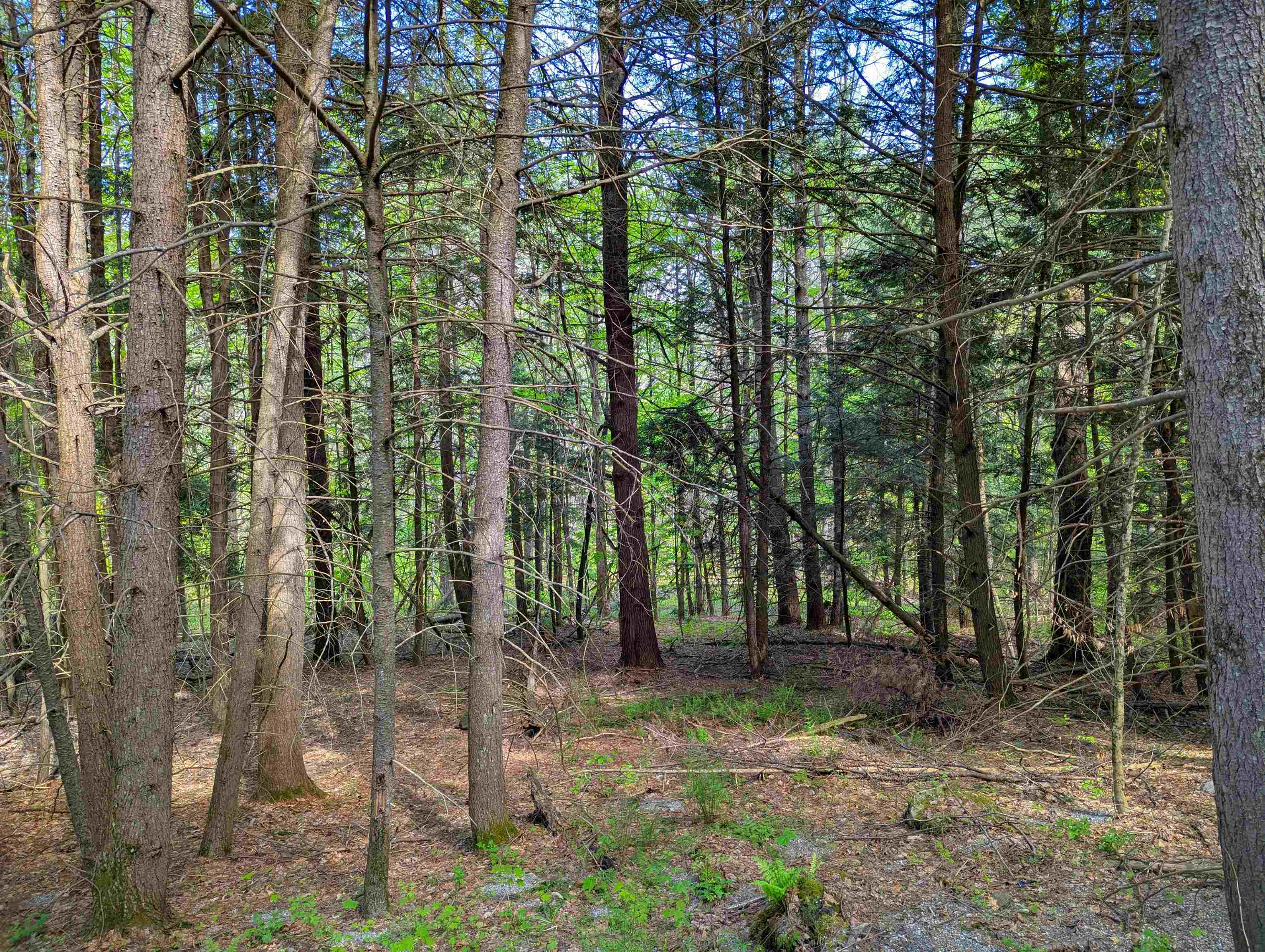 14 Brickyard Road Dover, VT 05341 - Photo 5 of 12