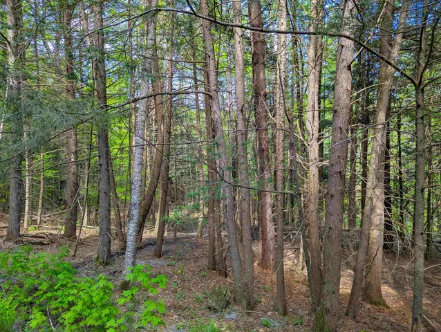 $39,999 | 14 Brickyard Road, Dover, VT 05341