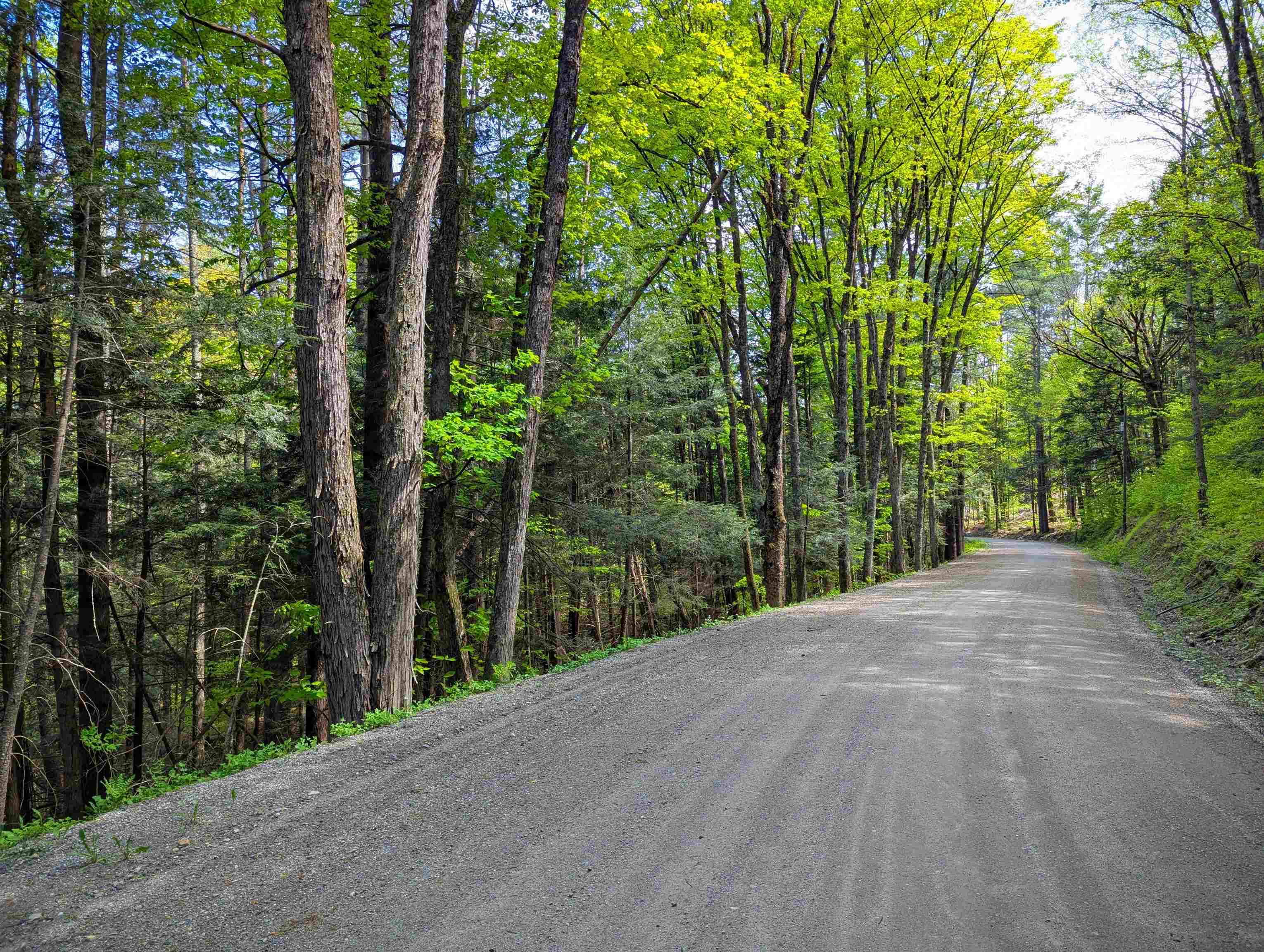 14 Brickyard Road Dover, VT 05341 - Photo 7 of 12