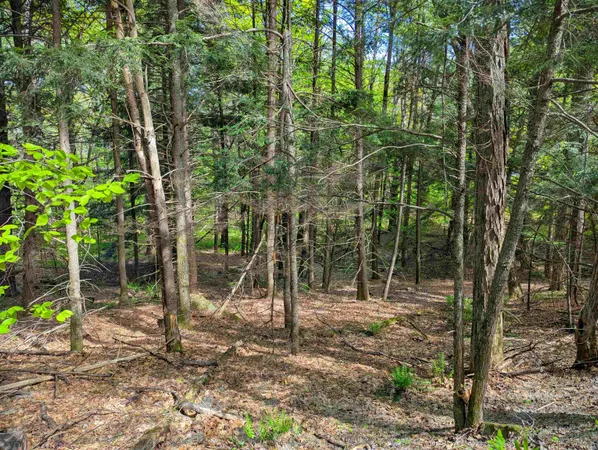 $36,999 | 14 Brickyard Road, Dover, VT 05341