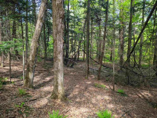 $36,999 | 14 Brickyard Road, Dover, VT 05341