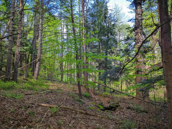 $36,999 | 14 Brickyard Road, Dover, VT 05341