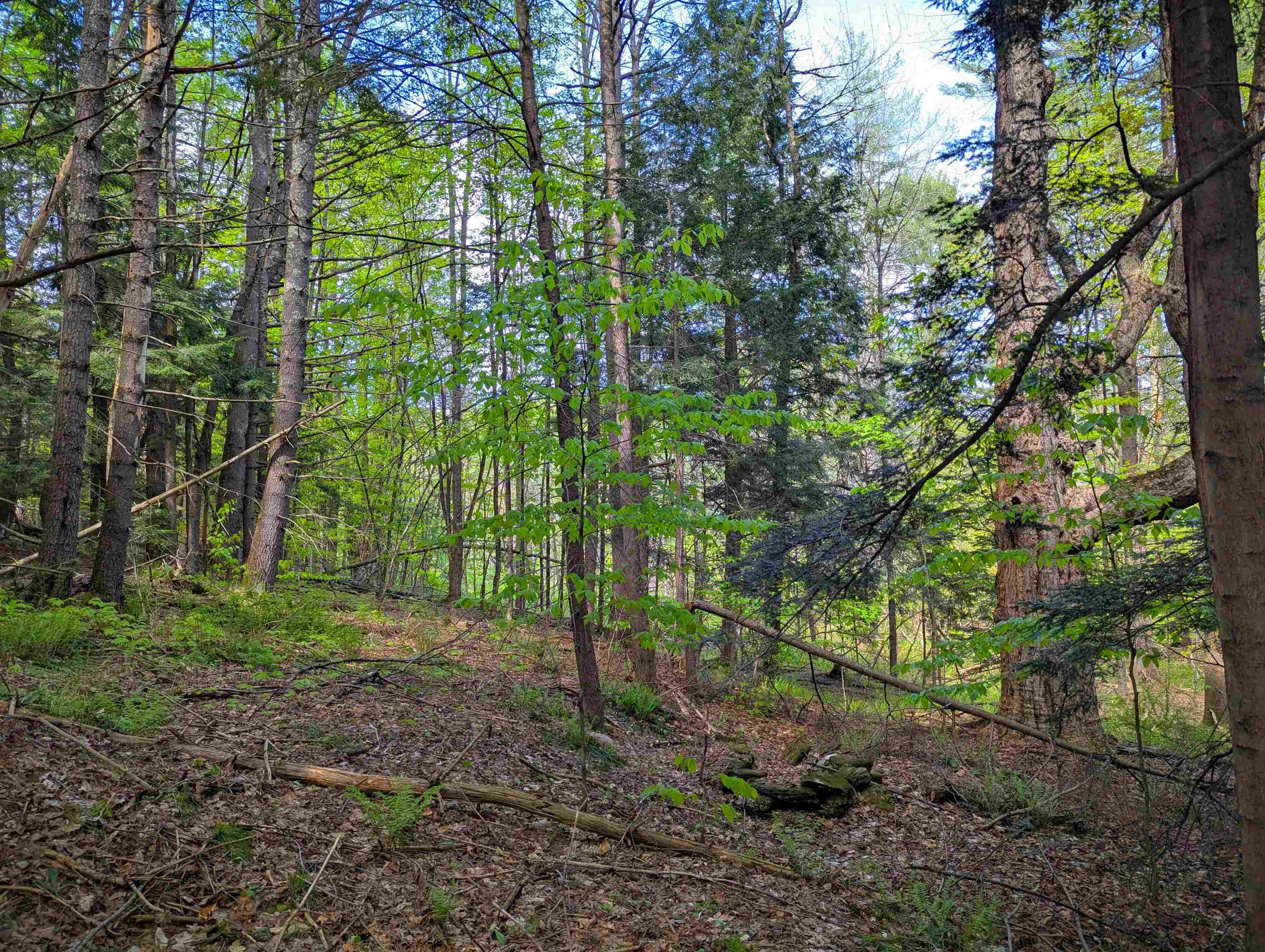 14 Brickyard Road Dover, VT 05341 - Photo 10 of 12