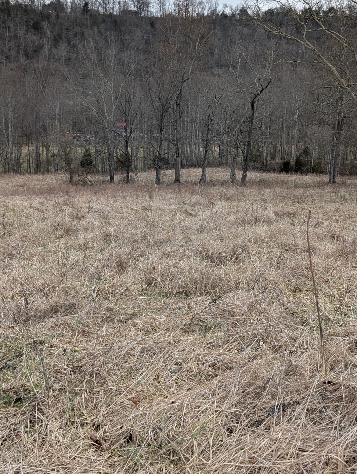 2654 Short Road Salvisa, KY 40372 - Photo 6 of 12 Lot #4