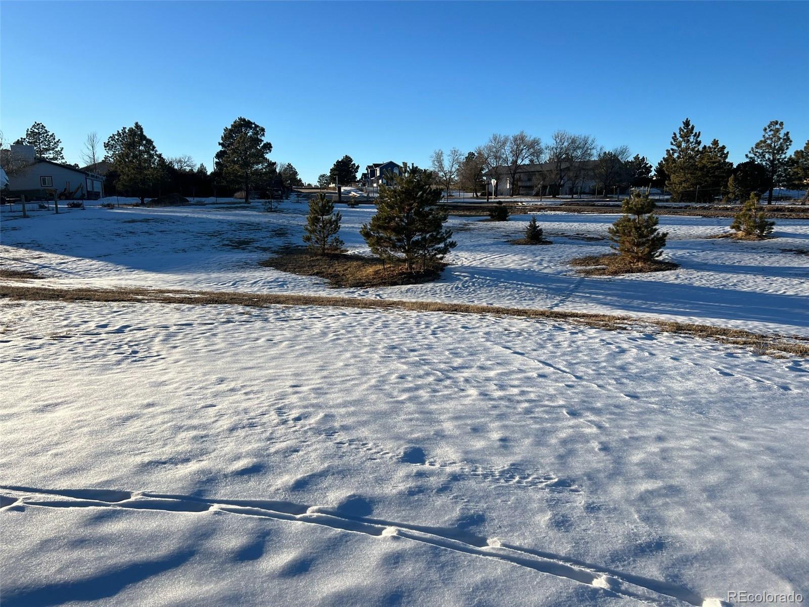 1358 Buttercup Road Elizabeth, CO 80107 - Photo 4 of 41 Gallery Image 4