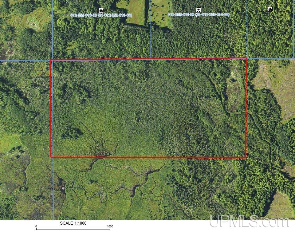 V25 Rd Trenary Mi 49891 Road Rapid River, MI 49878 - Photo 25 of 28